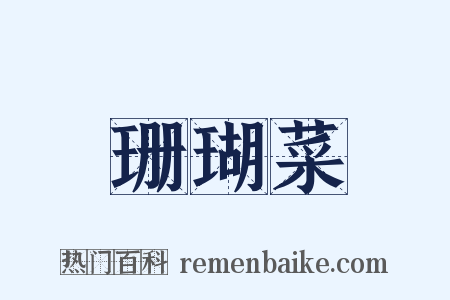 珊瑚菜是什么意思的图片